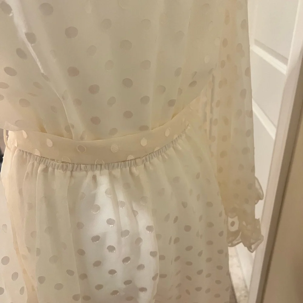 Zimmermann sheer dress/skort AUS Sz 2 NWT - Picture 4 of 5